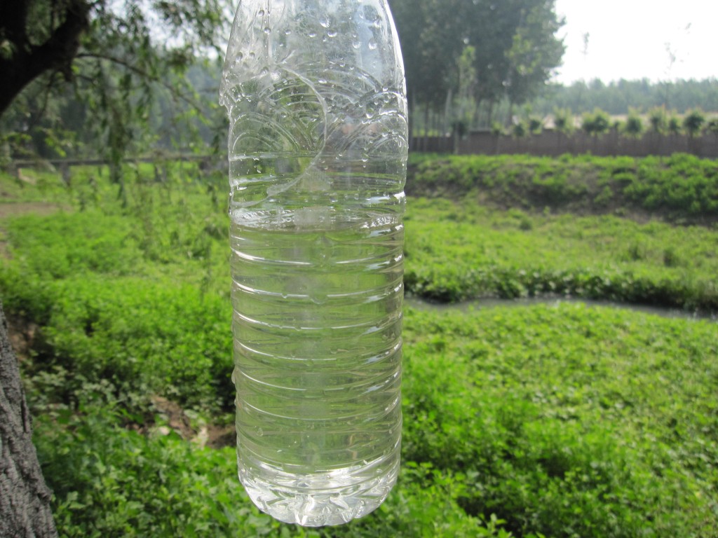 污水处理后
